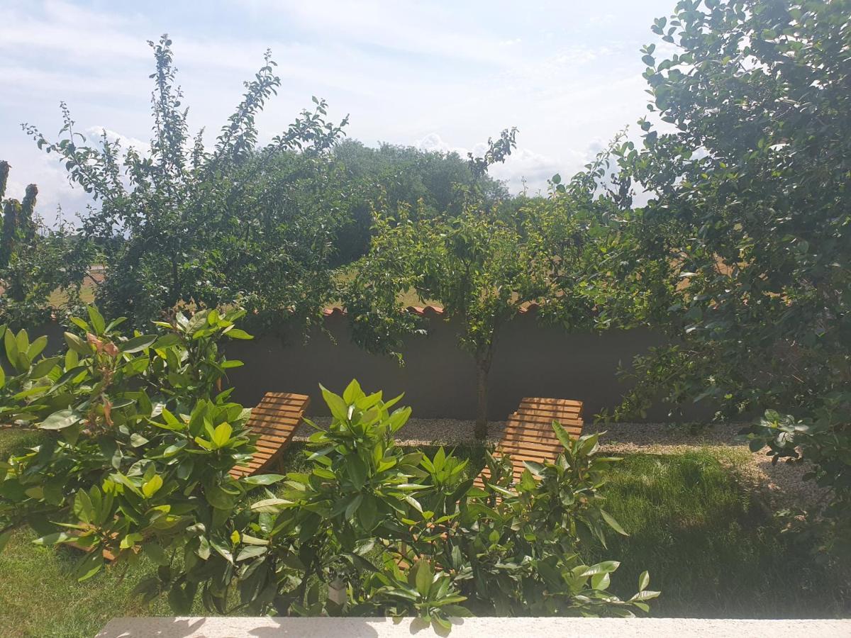 Villa Ancora 사부드리자 외부 사진