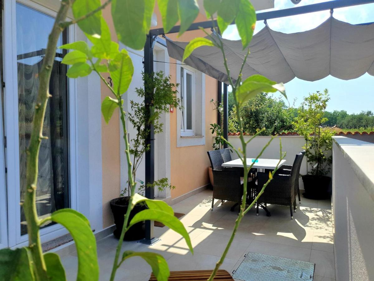 Villa Ancora 사부드리자 외부 사진