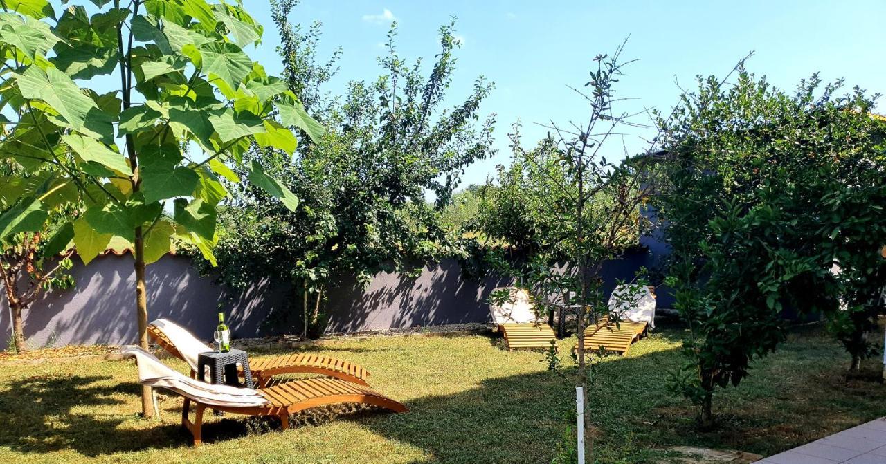Villa Ancora 사부드리자 외부 사진